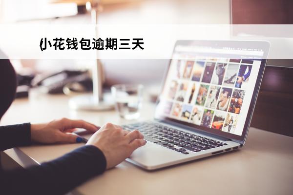 小花钱包逾期三天
(小花钱包逾期三天还进去了)