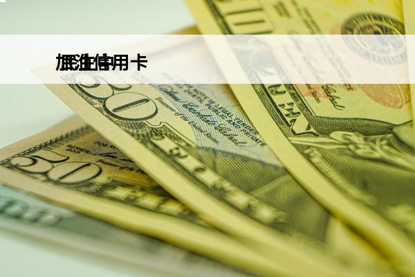加油信用卡
 民生中国石油联名加油信用卡