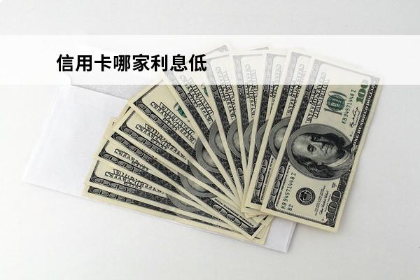 信用卡哪家利息低
 哪一家银行信用卡利息最低
