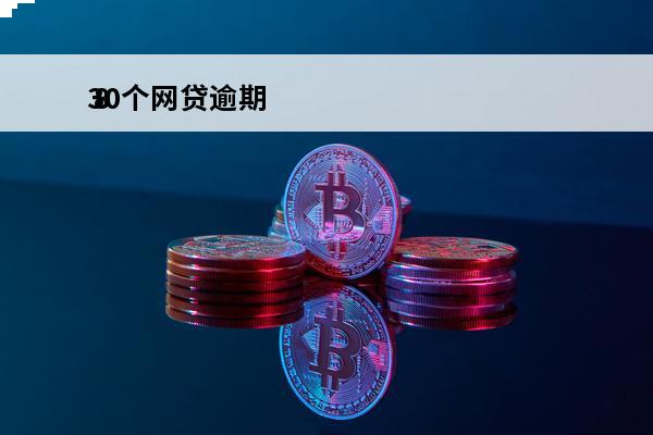 30个网贷逾期
 8个网贷逾期