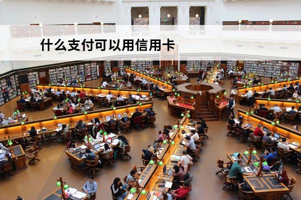 什么支付可以用信用卡
(什么付款方式支持信用卡)
