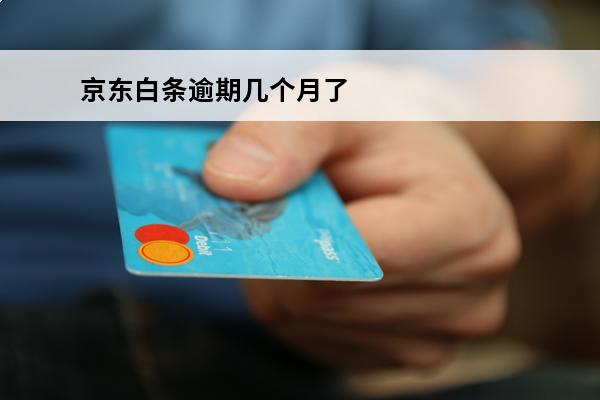 京东白条逾期几个月了
(京东白条逾期几天了会影响贷款吗)