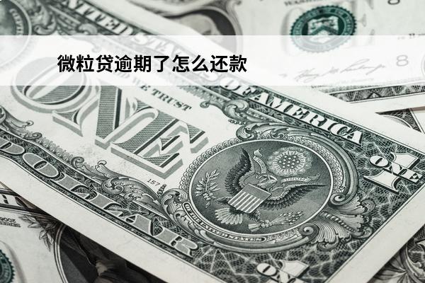 微粒贷逾期了怎么还款
(微粒贷逾期怎么还款最快)