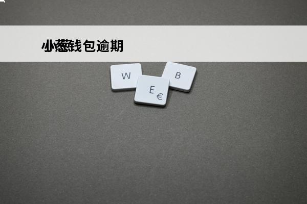 小葱钱包逾期
 小葱金融公司