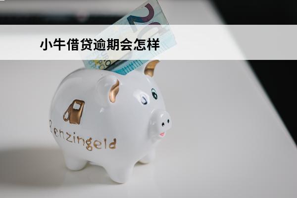 小牛借贷逾期会怎样
