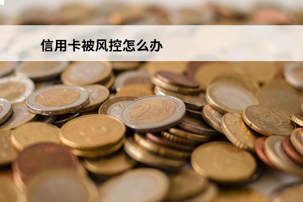 信用卡被风控怎么办
 信用卡被风控了怎么解决