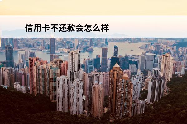 信用卡不还款会怎么样
(信用卡不还)