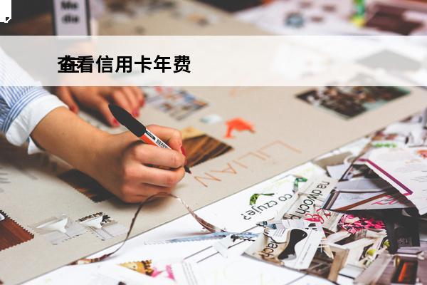 查看信用卡年费
 在哪查信用卡年费