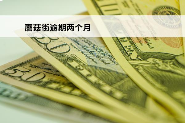 蘑菇街逾期两个月
 蘑菇街逾期什么意思