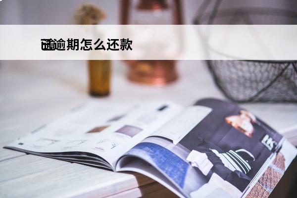 已逾期怎么还款
 逾期怎么还款还到本金