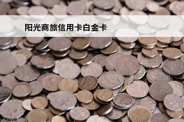 阳光商旅信用卡白金卡
(什么是阳光商旅白金信用卡)