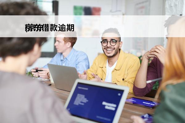 京东借款逾期
(京东借款可以申请延期还款吗)