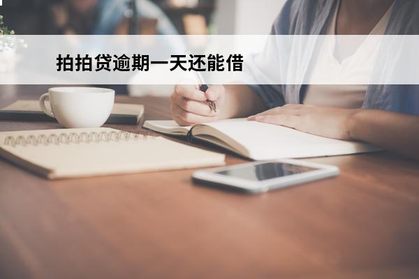 拍拍贷逾期一天还能借吗
 拍拍贷逾期了一天就没有借款额度了吗