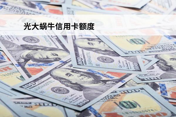 光大蜗牛信用卡额度
 光大银行卡信用卡额度