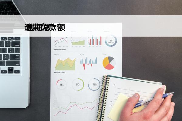 逾期欠款额
 逾期总额