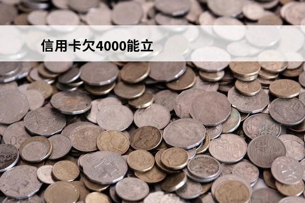 信用卡欠4000能立
