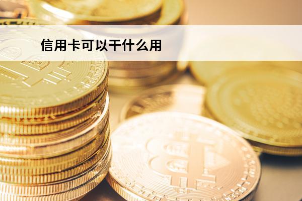 信用卡可以干什么用
(用信用卡可以吗)