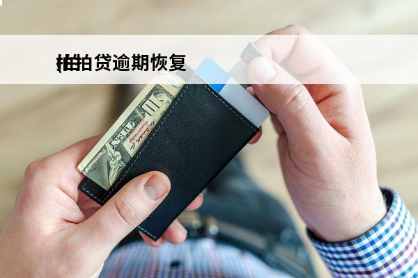 拍拍贷逾期恢复
(拍拍贷逾期恢复征信了吗)