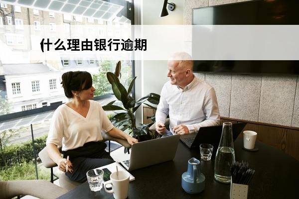 什么理由银行逾期
(什么理由银行逾期不能贷款)
