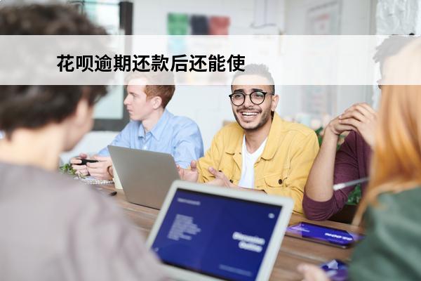 花呗逾期还款后还能使用吗
(花呗逾期后还款后还能不能继续使用)