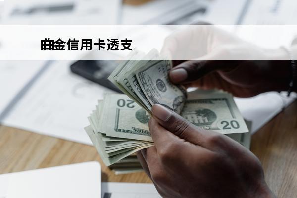 白金信用卡透支
 白金信用卡透支什么意思