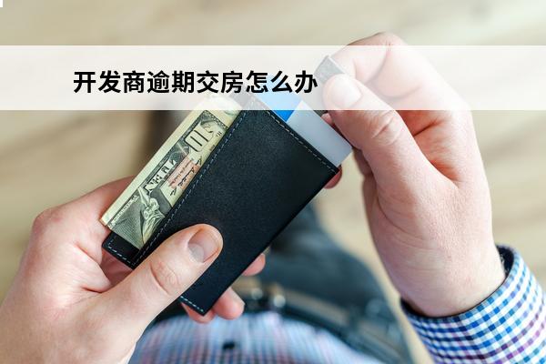 开发商逾期交房怎么办
 开发商逾期交房的法律规定