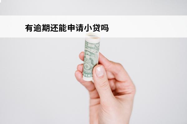有逾期还能申请小贷吗
(有逾期的能不能贷款)