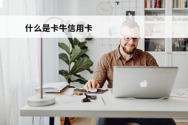 什么是卡牛信用卡
 卡牛是什么公司