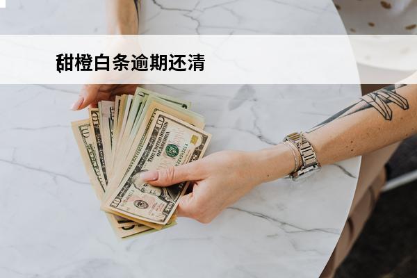 甜橙白条逾期还清
(甜橙白条逾期多久上报征信)