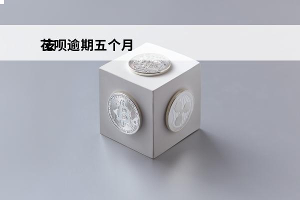 花呗逾期五个月
 支