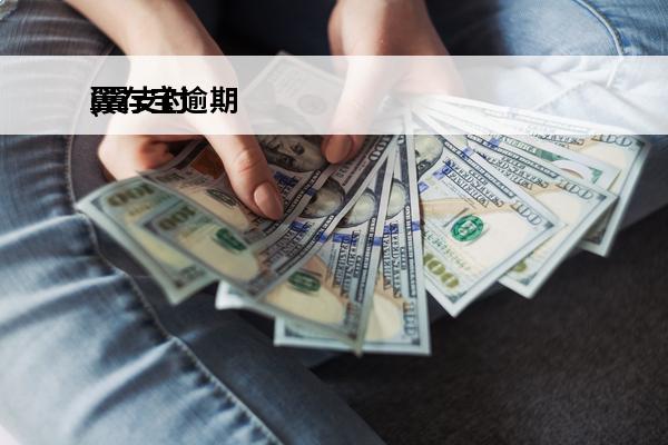 翼存宝逾期
(翼支付的银行存款安全吗)