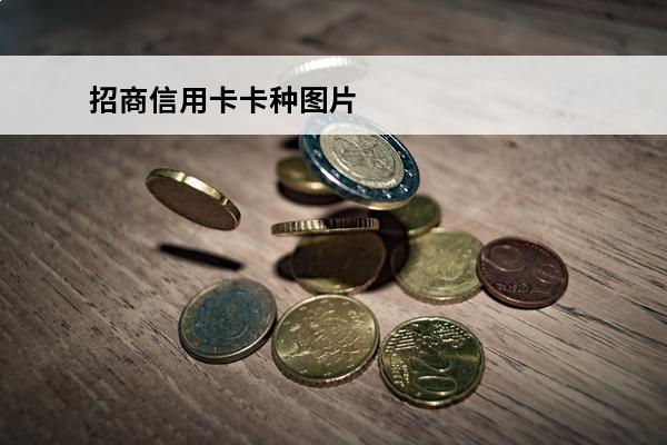 招商信用卡卡种图片
(招商银行几种信用卡)