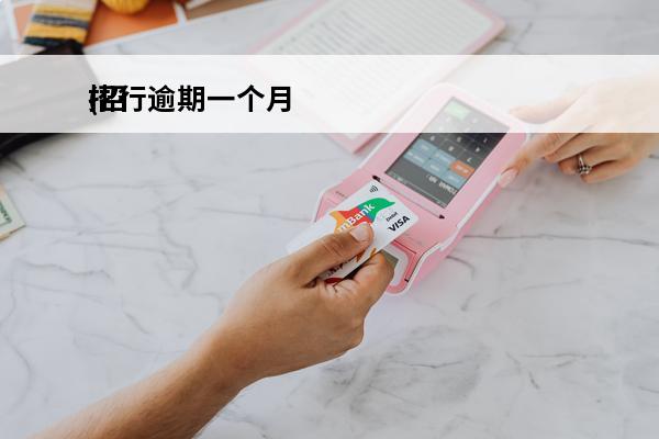 招行逾期一个月
(招行逾期一个月内是银行联系吗)