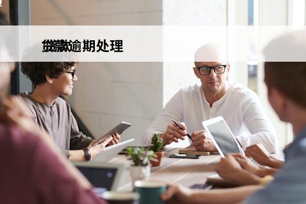 贷款逾期处理
 贷款逾期处理的基本流程