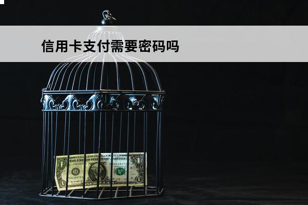 信用卡支付需要密码吗