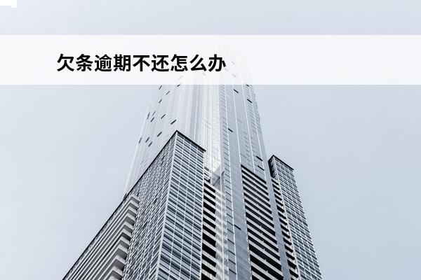 欠条逾期不还怎么办
 欠条逾期不还直接起诉流程怎么走