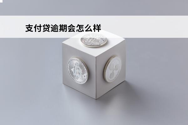 支付贷逾期会怎么样
(支付宝贷款逾期会上征信吗)