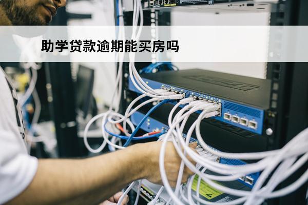 助学贷款逾期能买房吗
 助学贷款有逾期