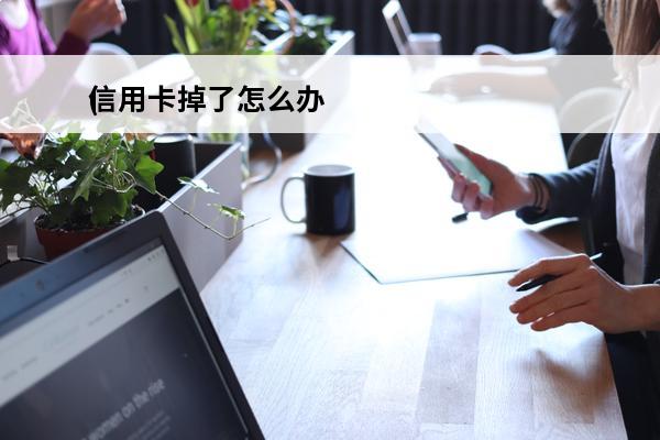 信用卡掉了怎么办
(信用卡掉了怎么补办)
