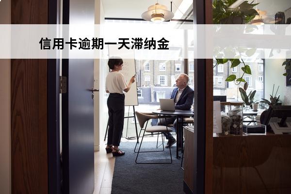 信用卡逾期一天滞纳金
 2020年信用卡逾期一天