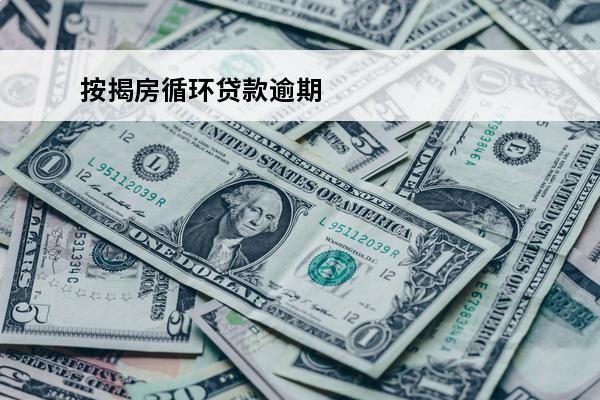 按揭房循环贷款逾期
(循环贷款逾期几天还能贷吗)