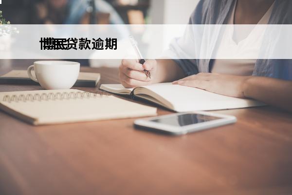 博民贷款逾期
 博民