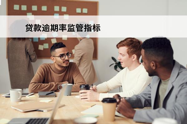 贷款逾期率监管指标
