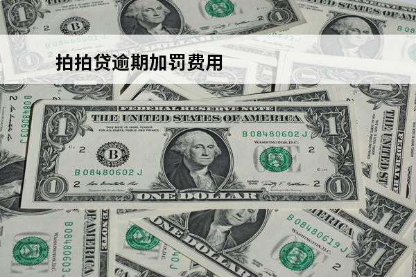 拍拍贷逾期加罚费用
