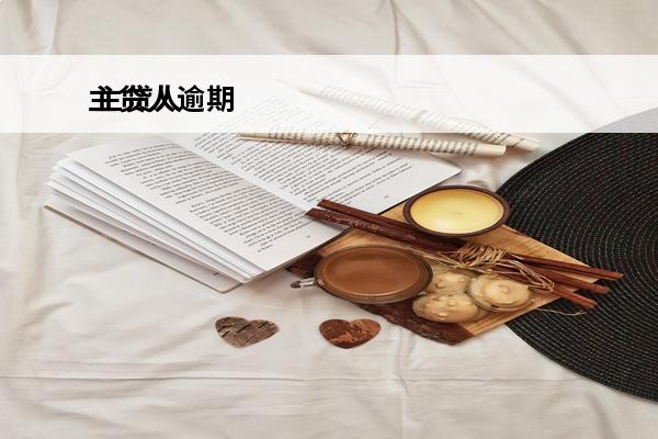 主贷人逾期
 主贷人