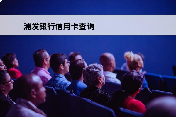 浦发银行信用卡查询
