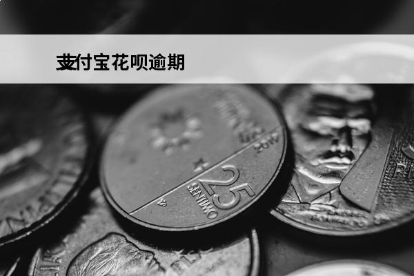 支付宝花呗逾期
 支