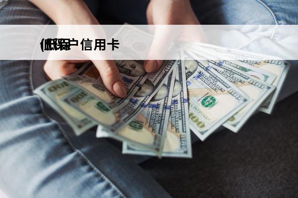 低保户信用卡
(低保