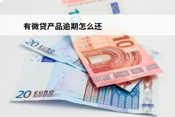 有微贷产品逾期怎么还