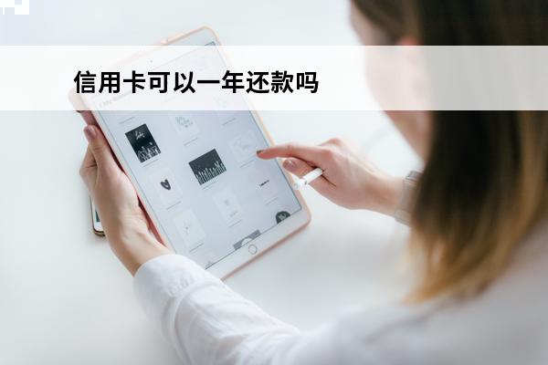信用卡可以一年还款吗